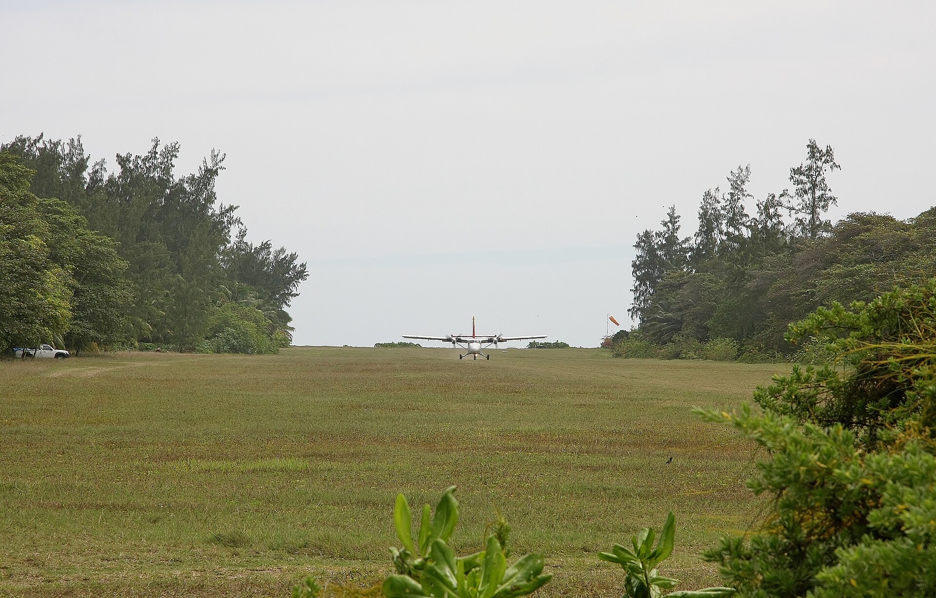 A light aircraft touching down on the grass strip on Denis Island, trees on both sides