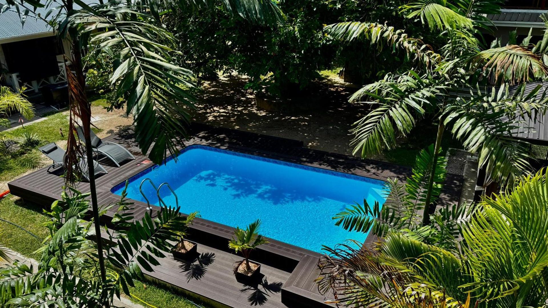 The swimming pool at AliBel Beach Villa seen from above through the palms of the garden at Anse à la Mouche, Mahé