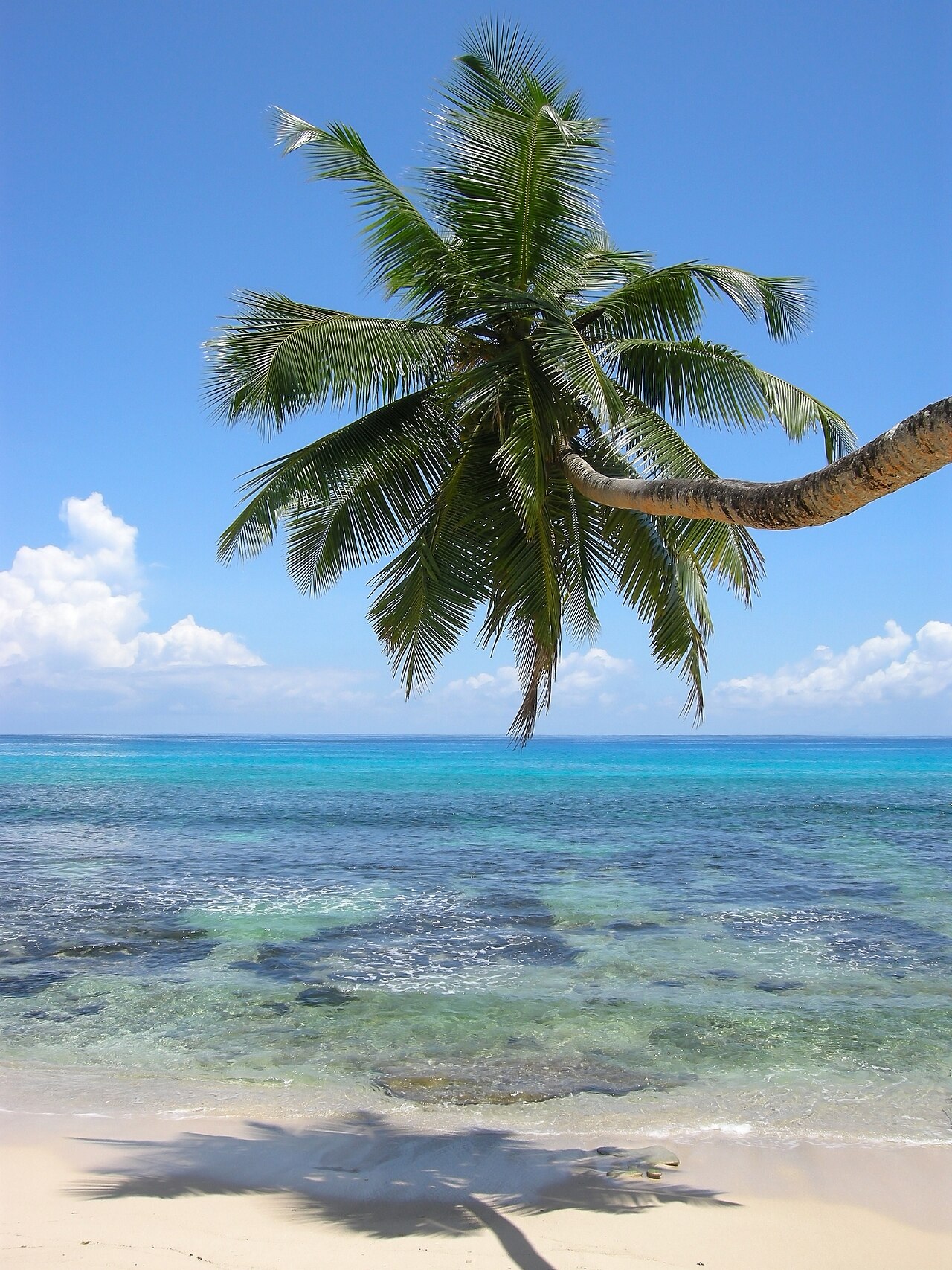 Anse Takamaka on Mahé: frame 3