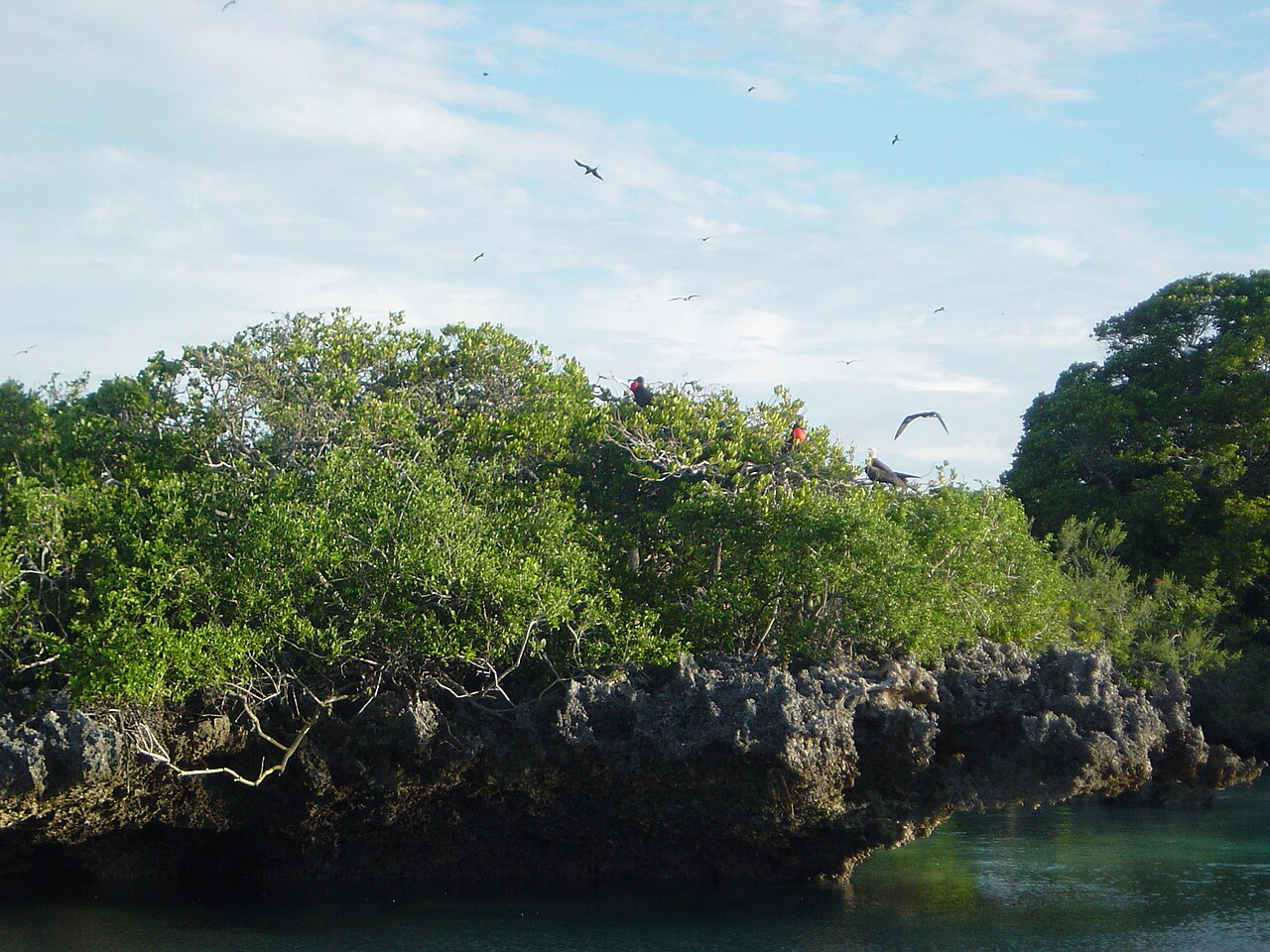 Aldabra, Seychelles: frame 4 of the island