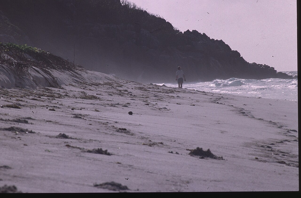 Aride, Seychelles: frame 1 of the island