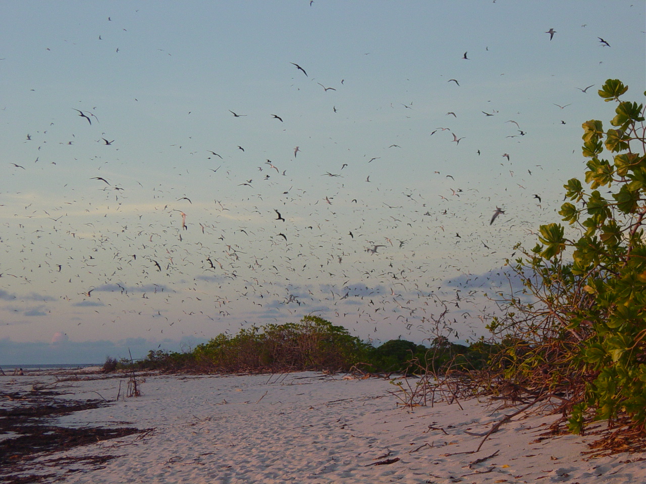 Bird Island, Seychelles: frame 2 of the island