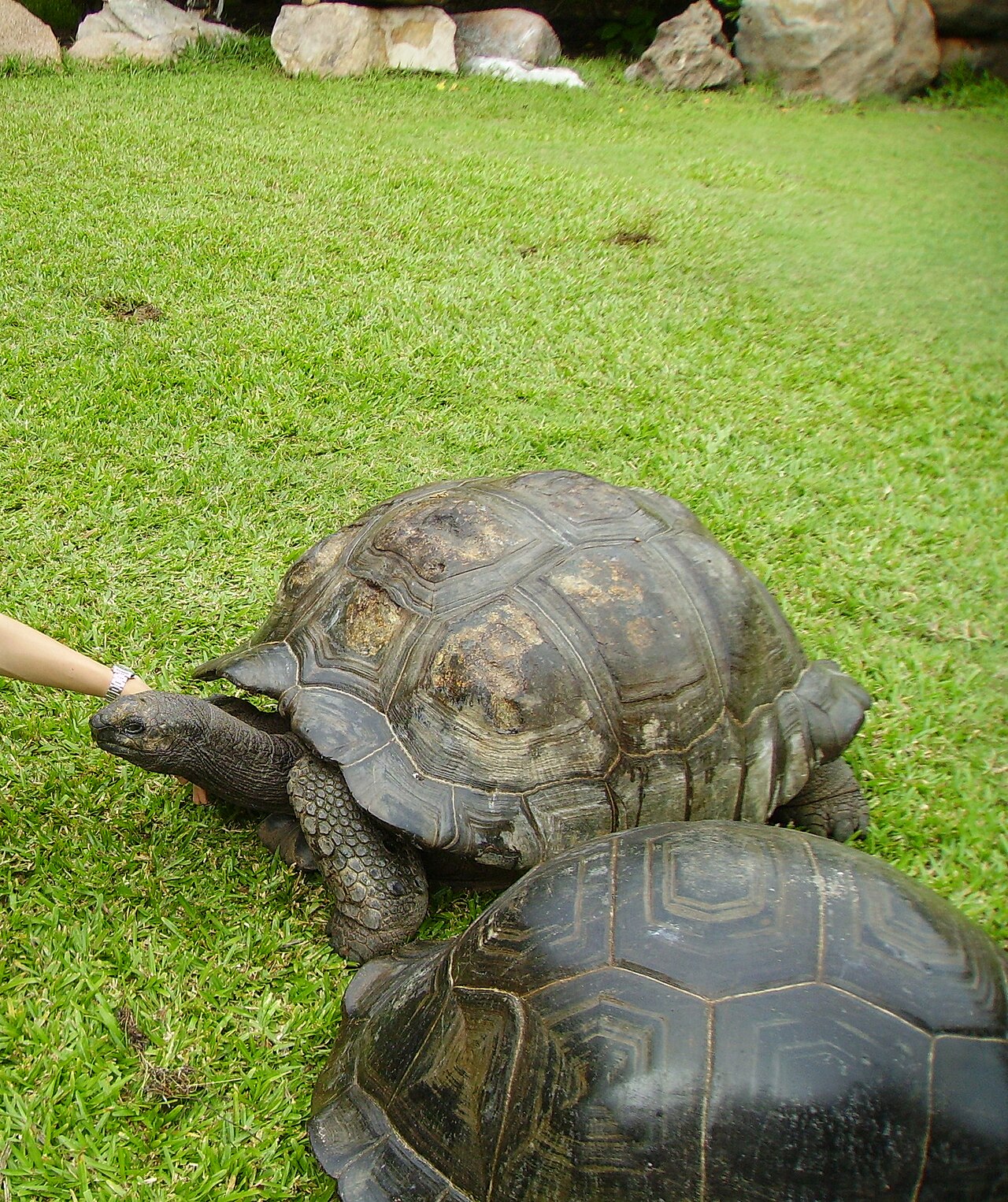 Cousine, Seychelles: frame 4 of the island