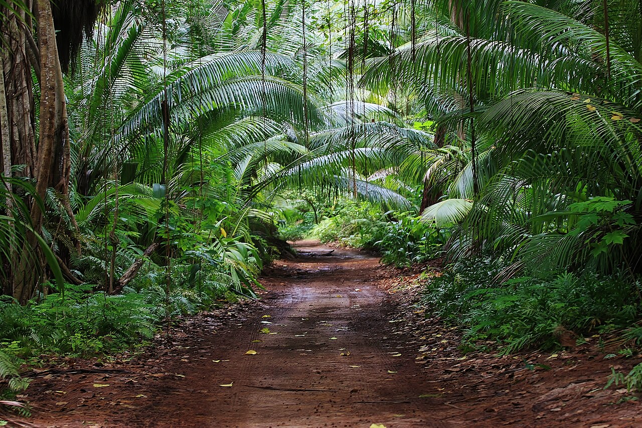 Denis, Seychelles: frame 2 of the island