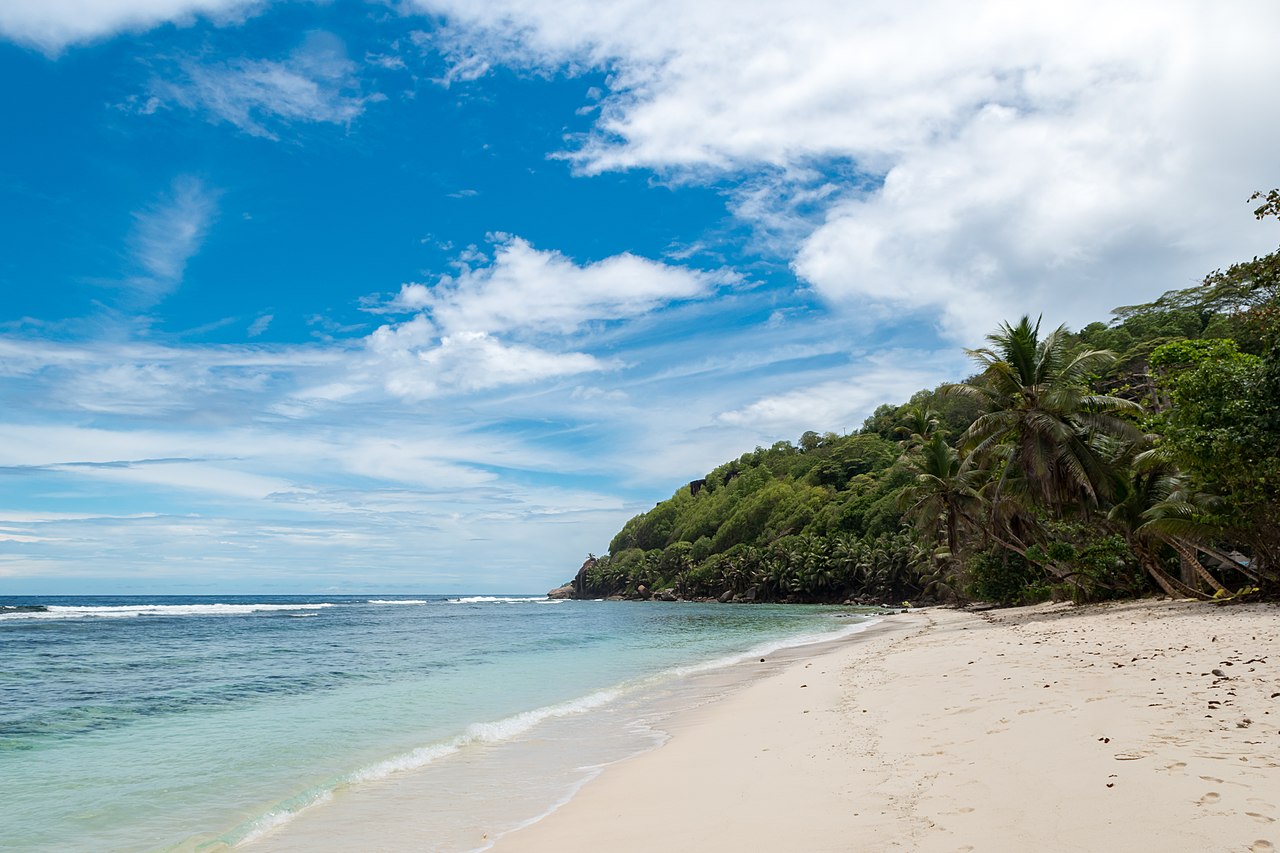 An empty white beach on Mahé curving away under palms, no one on it