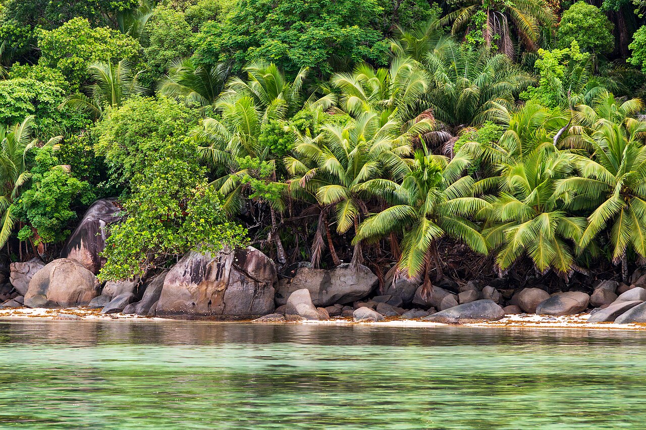 Moyenne, Seychelles
