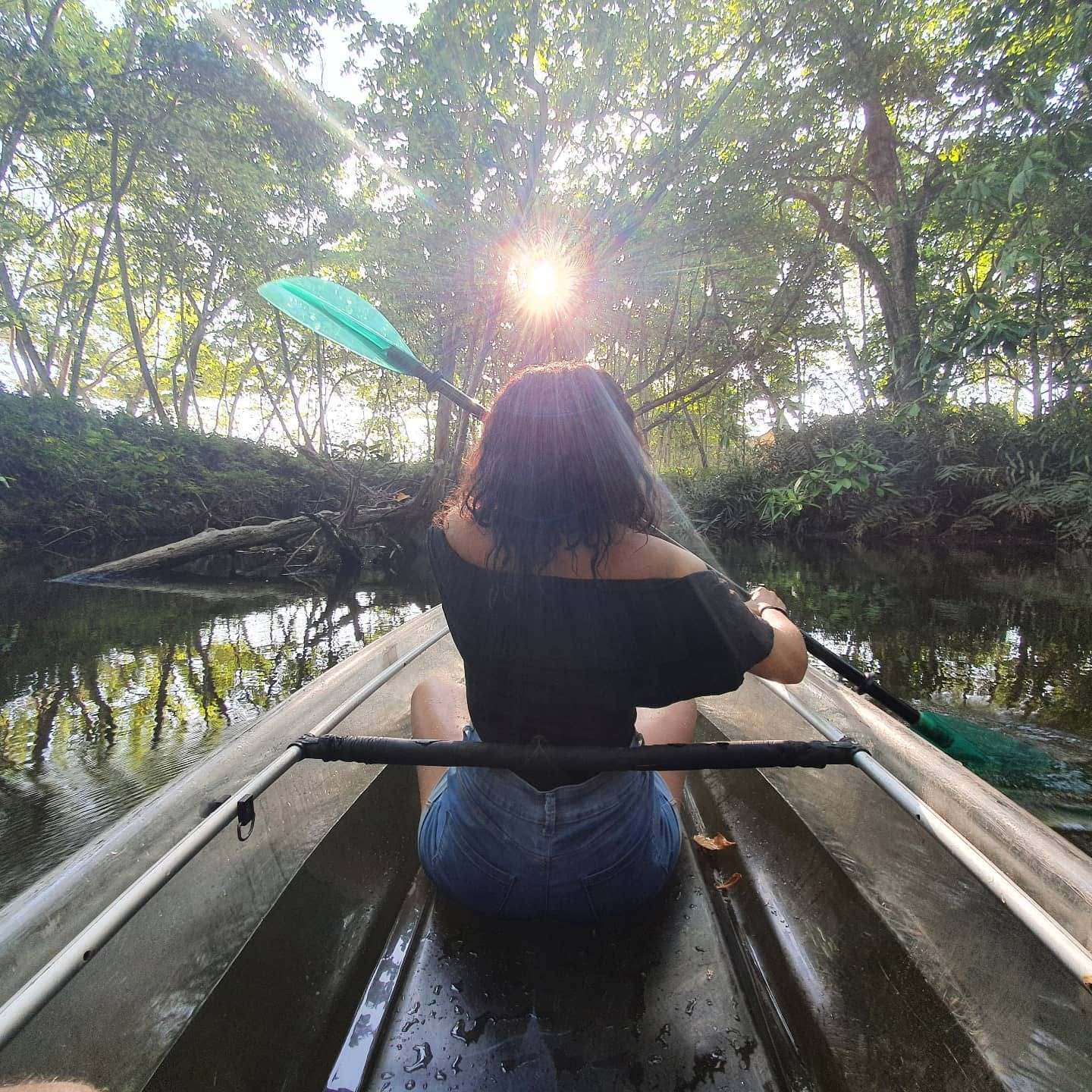 Paddler heading toward the light through the mangroves