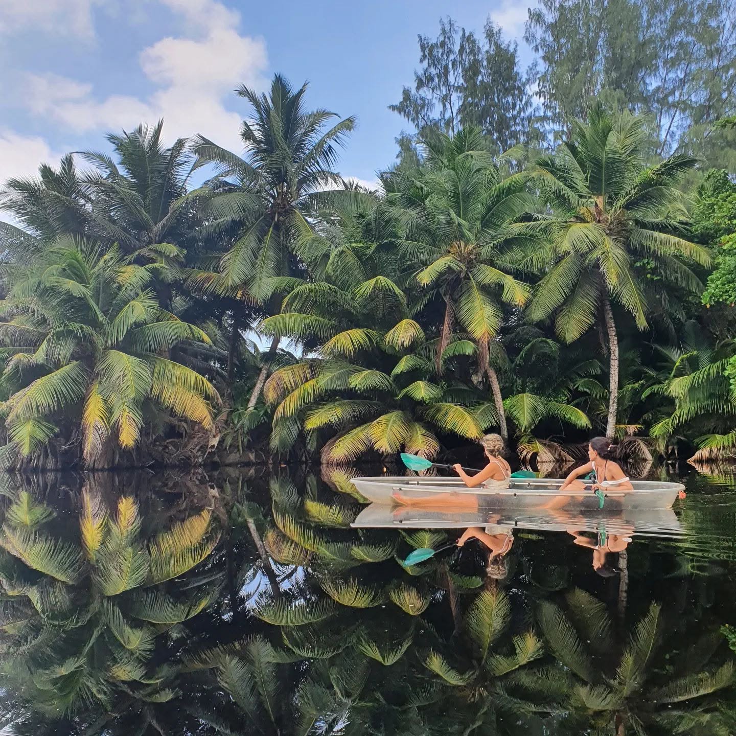 Clear-bottom kayak on glassy water beneath palms