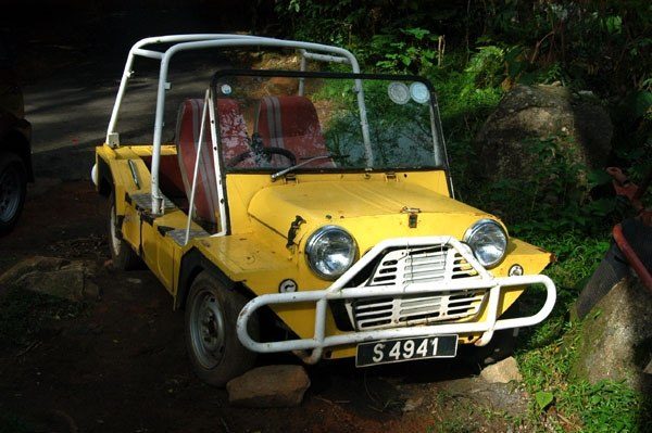 A yellow classic Mini Moke with a tubular roll bar and a white nudge bar, parked on a rocky verge under dense green
