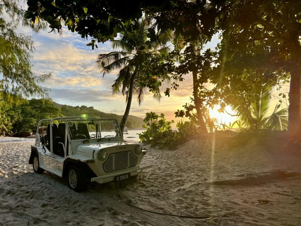 A pale modern Mini Moke parked on the sand under takamaka trees with the sun setting through the branches