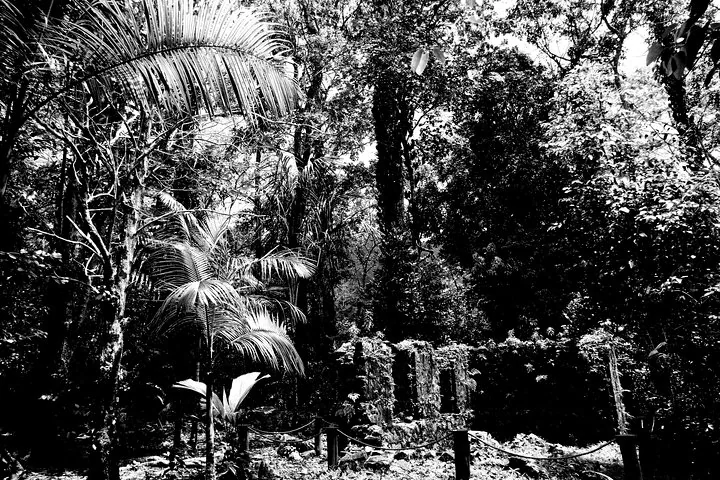 Mahé island tour by beach buggy in Seychelles, Mahé, photograph 4 of 6