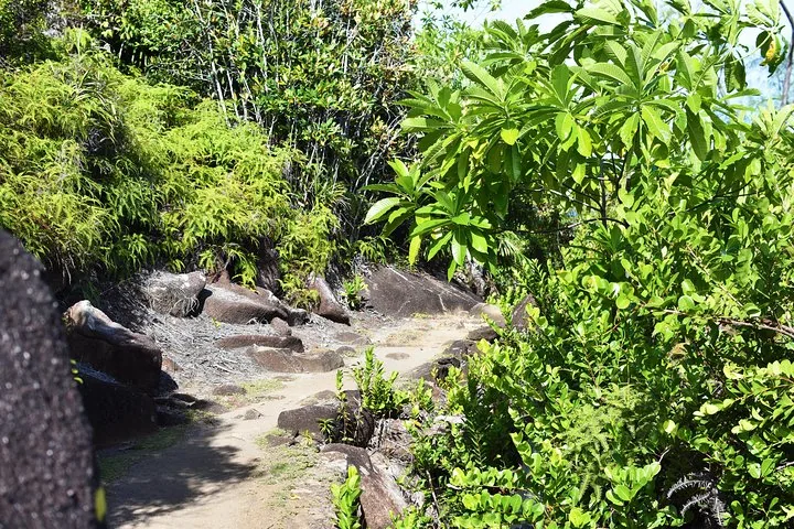Guided nature trail hike on Mahé in Seychelles, Mahé, photograph 6 of 6