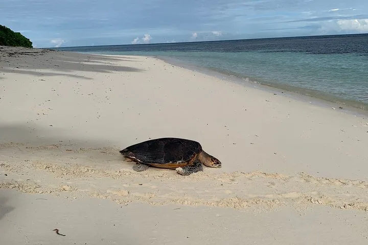 Mahé island tour, four hours or eight in Seychelles, Mahé, photograph 1 of 6