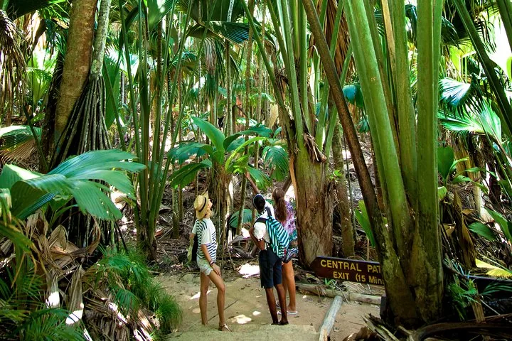 Guided walk in the Vallée de Mai in Seychelles, Praslin, photograph 3 of 6