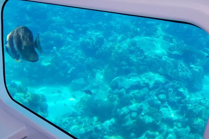 Semi-submarine over the Sainte Anne reef in Seychelles, Sainte Anne, photograph 4 of 6