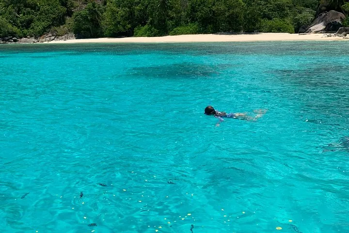Anse Major, Baie Ternay and a little fishing in Seychelles, Mahé, photograph 3 of 6