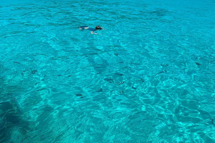 A boat day in the Sainte Anne marine park.