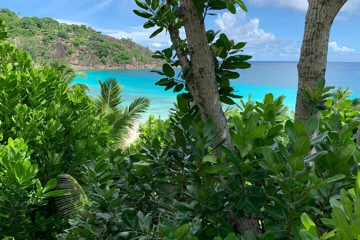 Full-day Mahé tour with hotel pick-up in Seychelles, Mahé, photograph 2 of 6