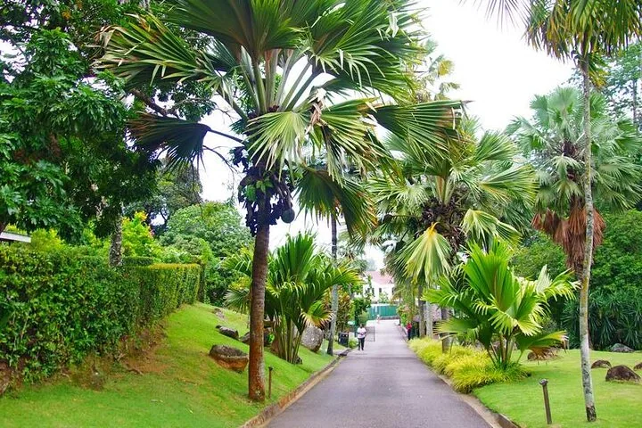 Private full-day Mahé tour in Seychelles, Mahé, photograph 5 of 6