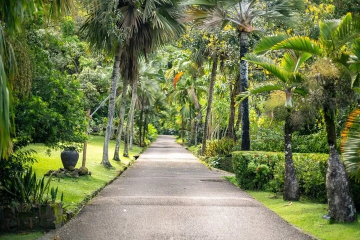 Private full-day Mahé tour in Seychelles, Mahé, photograph 6 of 6