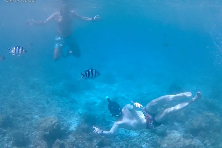 Curieuse, St Pierre and Anse Lafarine in Seychelles, Praslin, photograph 4 of 6