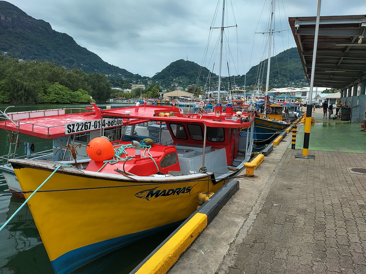 Fishing boats at Port Victoria.