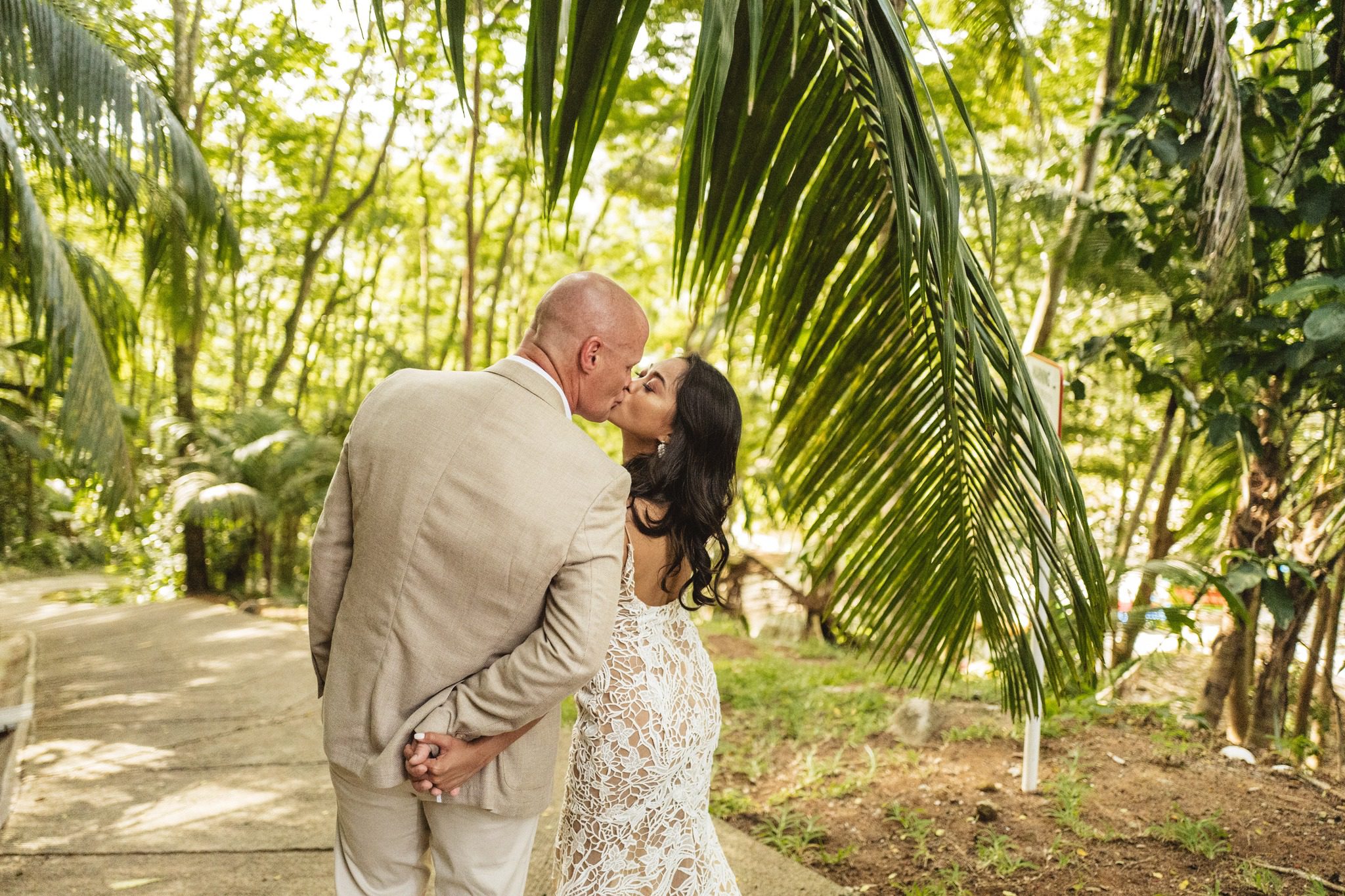 A garden path under palms.