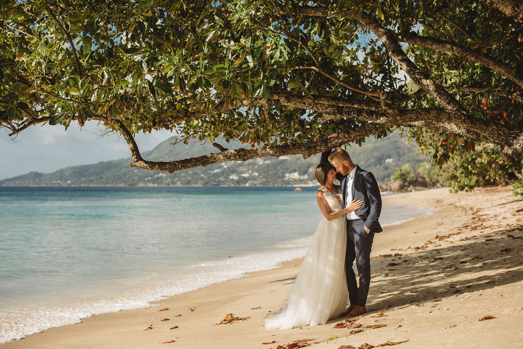 The couple beneath a huge low-spreading tree on the sand
