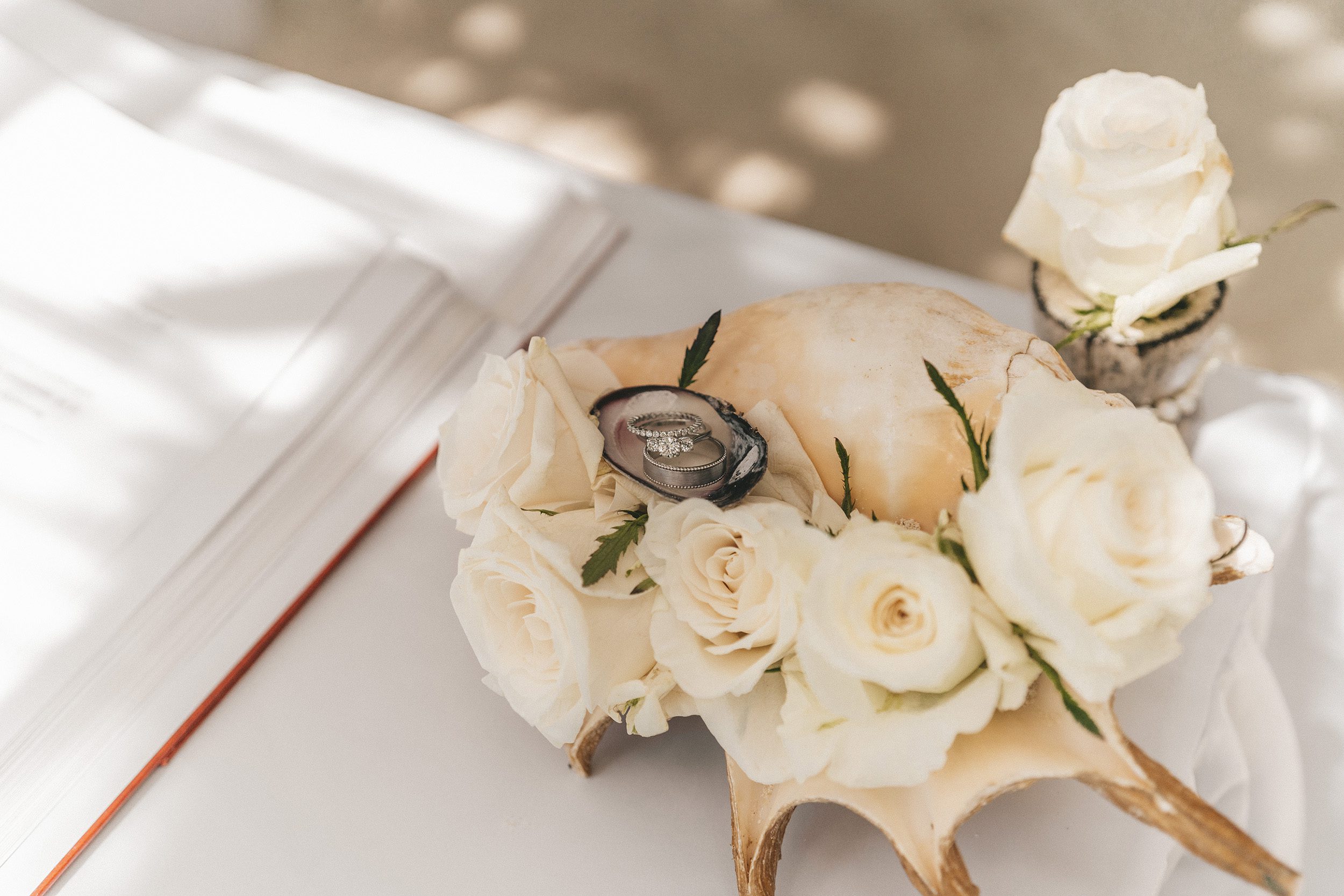The rings in a white shell resting on the register, roses beside them